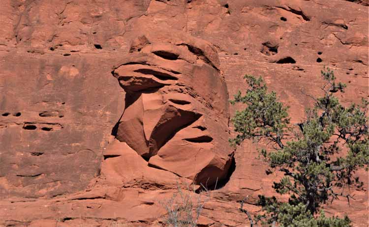 eagle head carved in rock